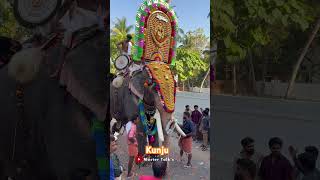 ഊക്കൻസ് കുഞ്ചു || Konban ookkans Kunju at Chembalamkulangara thalappoli