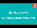 Set Add Cookie using Python Selenium