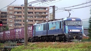 ブルーサンダーEH200-20牽引高速貨物6082ﾚ　焼島→隅田川