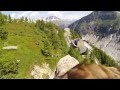 Animal Clip Of The Week- Dope Flying Eagle's Point Of View!