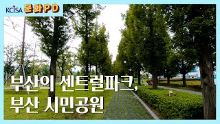 [문화PD] 부산의 센트럴파크, 부산시민공원