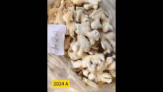 2024 A B dried ginger whole (shoot on 22nd Oct)welcome you inquire @Jinfofood m.chinaagroproduct.com