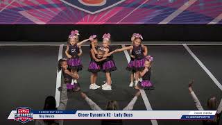 Cheer Dynamix Ladybugs - Cheerfest 2022