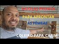 como tira filhotes de coleiro papa_capim gaiolas pronta ep 19