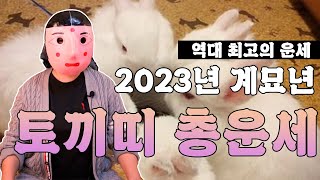 2023년 토끼띠 운세 ㅣ 25세, 37세, 49세, 61세