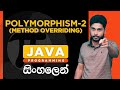 Java Tutorial - 28 | Polymorphism 2 | Method Overriding in Java | Sinhala