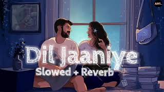 Dil Jaaniye || Slowed + Reverb || Jubin Nautiyal, Tulsi Kumar ||  music  ll new song ll loving song