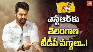 ఎన్టీఆర్‌కు తెలంగాణ టీడీపీ పగ్గాలు..! Jr NTR as Telangana TDP President | MP Elections 2019 |YOYO TV