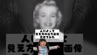 お爺さん(アインシュタイン)とお姉さん(マリリンモンロー)どっちに見えた？#人によって見え方が違う画像 #子供のいる暮らし #年子育児 #パパと娘 #あおいちゃん #shorts