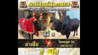 คลิปเต็ม | มาเฟีย VS เขายาว #พี่เสือล่าสุด #พี่เสือแดนใต้ #วัวชนวันนี้ #สนามทุ่งทะเลหลวง #ดูวัวชนสด