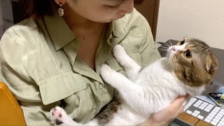 飼い主にどうしても振り向いて欲しい猫のアピールが可愛いすぎて勝てないです！