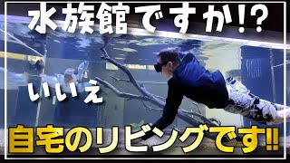 【衝撃映像】圧巻の3m水槽が自宅に!!メンテナンスは中で泳いで！？まるで水族館のようなアクアリスト邸宅に潜入‼　ルームツアー　aquarium　アクアリウム　熱帯魚　水槽　水草　流木　アロワナ