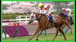 【桜花賞】桜舞う乙女たち大混戦‼︎ レッツゴードンキ　ジュエラー　レーヌミノル