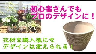 アンゲロニアとオレガノの寄せ植え【ウチ花】角度を変えるとこんなに違う！寄せ植えの基本