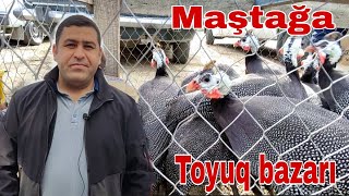 Maştağa Toyuq bazarı 10 aprel 22 @mubarizemintv  #mastagatoyuqbazari #mastagamalbazari