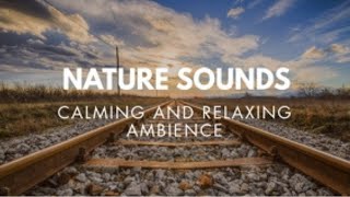 Binaural Beats / Delta Waves - "Blissful Healing" by Chris Collins