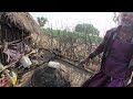 ancient desert village life at india pakistan border rajasthan village life robin rawat vlogs