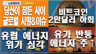 [8월 30일 당신이 잠든 사이] 유럽 에너지 위기 심각ㅣ유가 반등 에너지주↑ㅣ비트코인 2만달러 하회