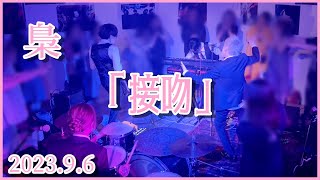 梟 / 「接吻」（2023.9.6）原宿ストロボカフェ