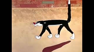 Desenho - (Looney Tunes Compilação #1)