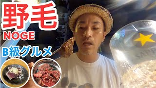 【神奈川】野毛で居酒屋をハシゴしてB級グルメ三昧！【旅行Vlog vol.72🍺】JAPAN YOKOHAMA NOGE