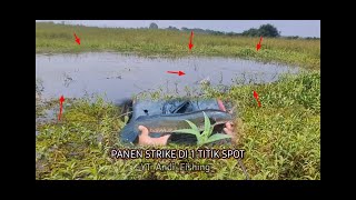 MANCING CASTING PREDATOR || PANEN STRIKE DI 1 TITIK SPOT