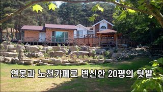 20평의 짜투리 땅을 작은 폭포와 연못이 있는 노천카페로 만드는 과정