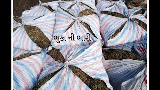 આજે આપણે તુવેર નો ભૂકો ભરવા જવાનુ છે #viral #khedut #farming #ખેડૂત_મિત્રો #agriculture #tractor