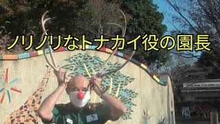 【金沢動物園公式】クリスマス特別企画「サンタクロースのトナカイが金沢動物園に逃げてきた!?」　メイキング編