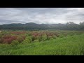 경기 연천 임진강 댑싸리공원(4K). Dapsari Park on the Imjin River in Yeoncheon, Gyeonggi-do.