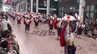 大富士with雄大グループ　～2016高知よさこい祭り・全国大会(帯屋町筋会場)