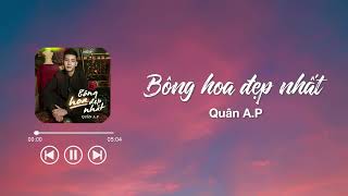 Bông hoa đẹp nhất - Lyrics