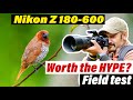 Is it really worth the hype? - Nikon Z 180-600 lens field test | #birdphotography #nikon #wildlife