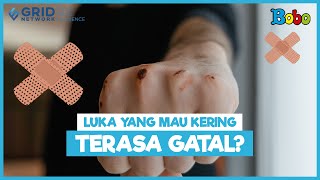 Kenapa Luka yang Mau Kering Terasa Gatal? - Fakta Menarik