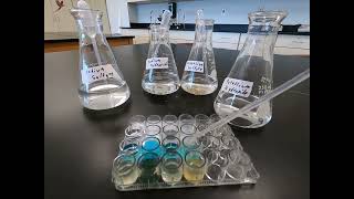 Ionic Compounds Precipitate Lab
