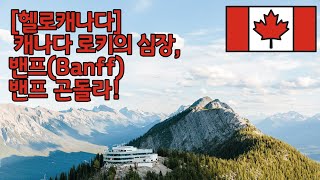 [헬로캐나다]  밴프 곤돌라, 캐나다 로키의 핵심 밴프와 캐나다 로키 산맥을 한눈에,  4계절 로키여행 추천 아이템