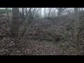 dji neo mastering woods u0026 tight spaces learning slowly u0026 improving