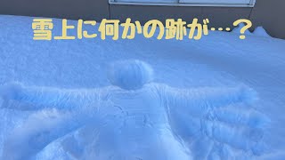 雪国の冬にしか出来ないこと