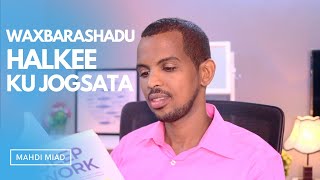 WAXBARASHADU HALKEE KU JOGSATA | mahdi miad