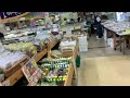 道の駅笠岡ベイファーム直売所　11／4