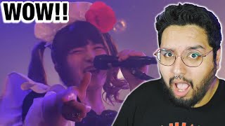 BAND-MAID / FREEDOM (Official Live Video) MUSICIAN REACTS!