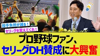 プロ野球ファン、セリーグＤＨ賛成に大興奮ｗ