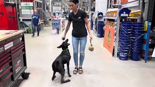 Enoch - 19 Wks Old At Lowe’s