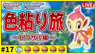 【ダイパリメイク】色違いだけで殿堂入り旅#17　ヒコザル編　1000匹目〜【ポケットモンスターBDSP　ポッチャマ・ナエトル】