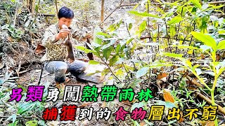 另類勇闖熱帶雨林，捕獲到的食物層出不窮