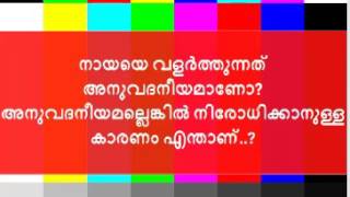 നായയെ വളർത്തുന്നത് അനുവദനീയമാണോ  അനുവദനീയമല്ലെങ്കിൽ നിരോധിക്കാനുള്ള കാരണം എന്താണ്