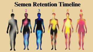 THE 6 STAGES OF SEMEN RETENTION! 🌞