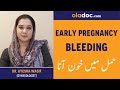 Bleeding During Pregnancy Urdu Hindi - Hamal Ke Doran Khoon Ka Ana - Spotting In Early Pregnancy