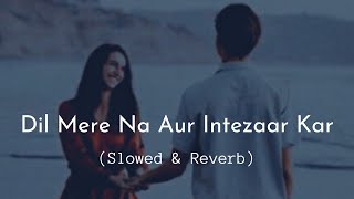 Dil Mere Na Aur Intezaar Kar | Slowed & Reverb | Udit Narayan & Alka Yagnik | Reverb Wallah