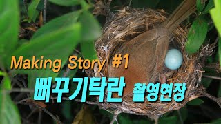 뻐꾸기탁란 brood parasitism_#1 / 탁란촬영 현장과 뻐꾸기의 운명을 다룬 메이킹 영상입니다